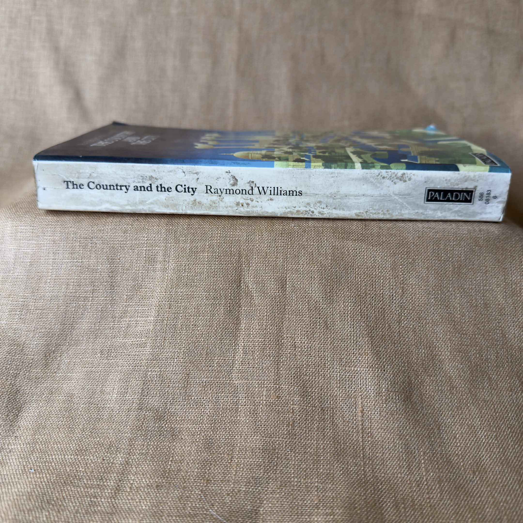 The Country and the City — Raymond Williams