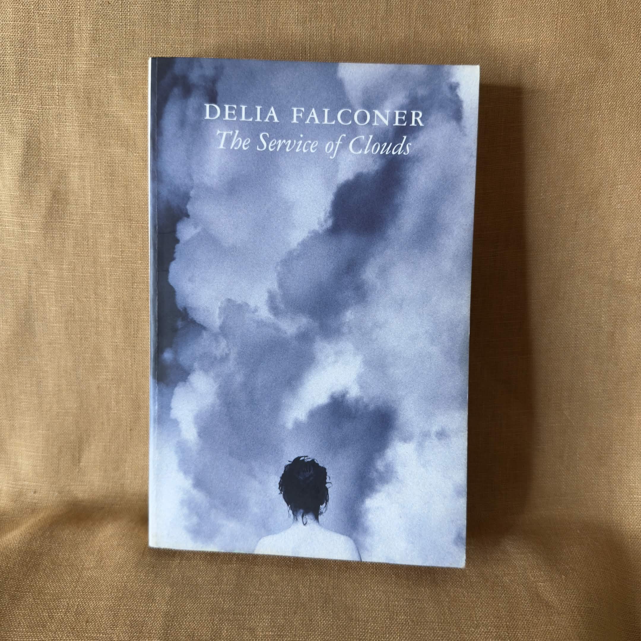 The Service of Clouds — Delia Falconer