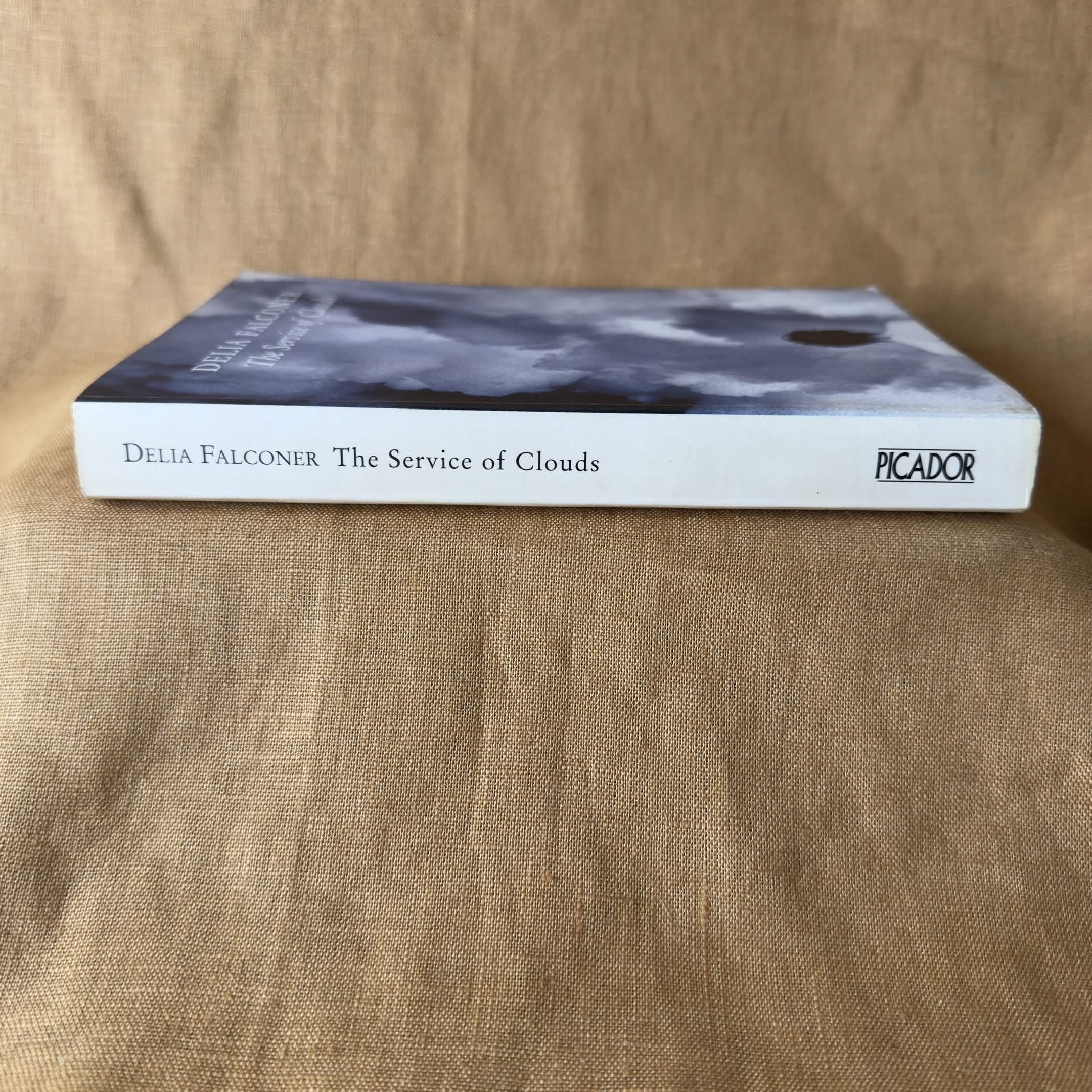 The Service of Clouds — Delia Falconer