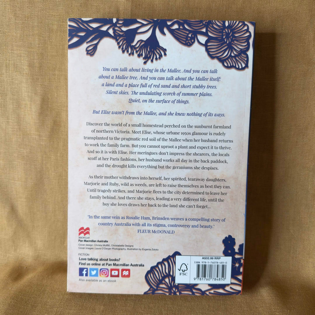 Wearing Paper Dresses — Anne Brinsden