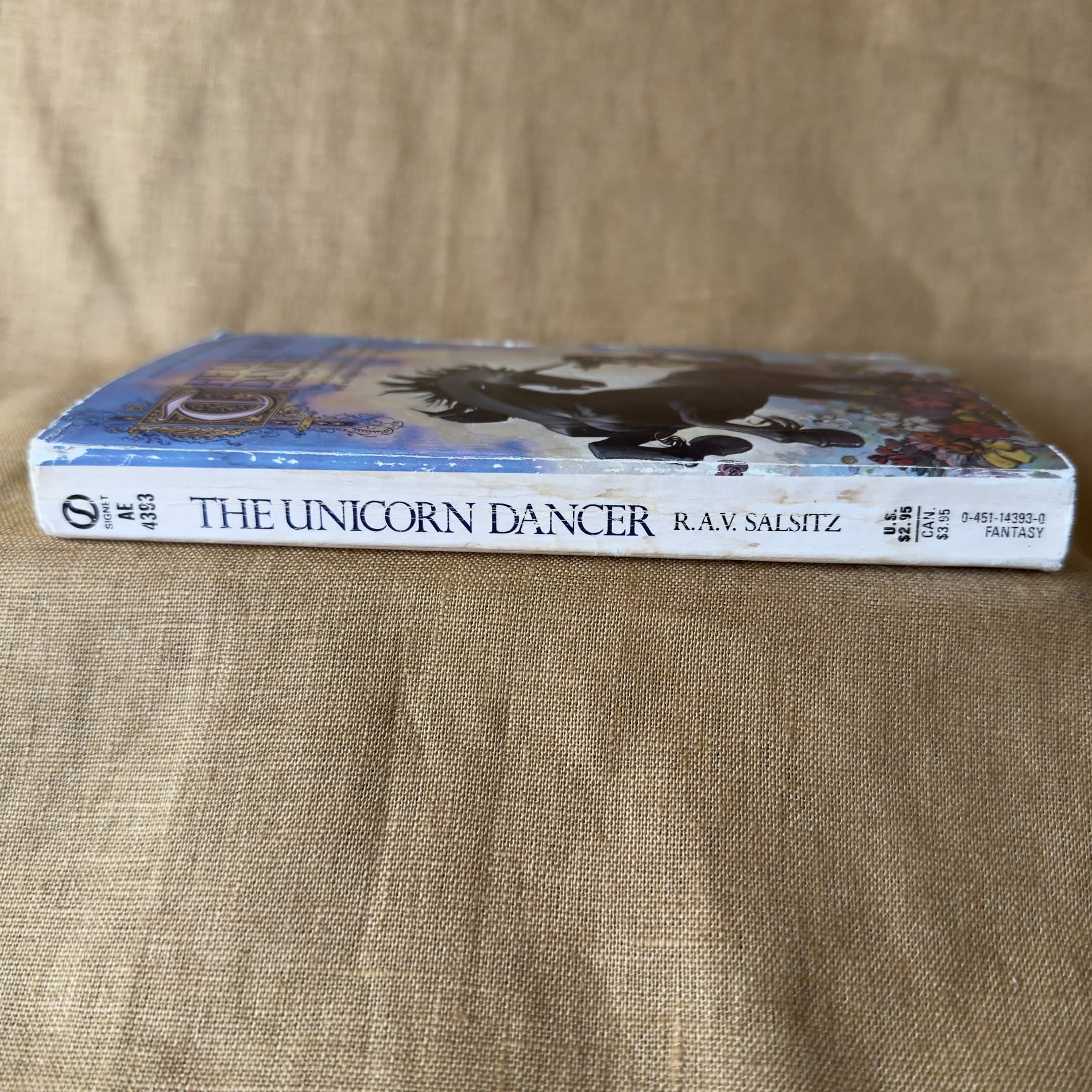 The Unicorn Dancer — R.A.V. Salsitz