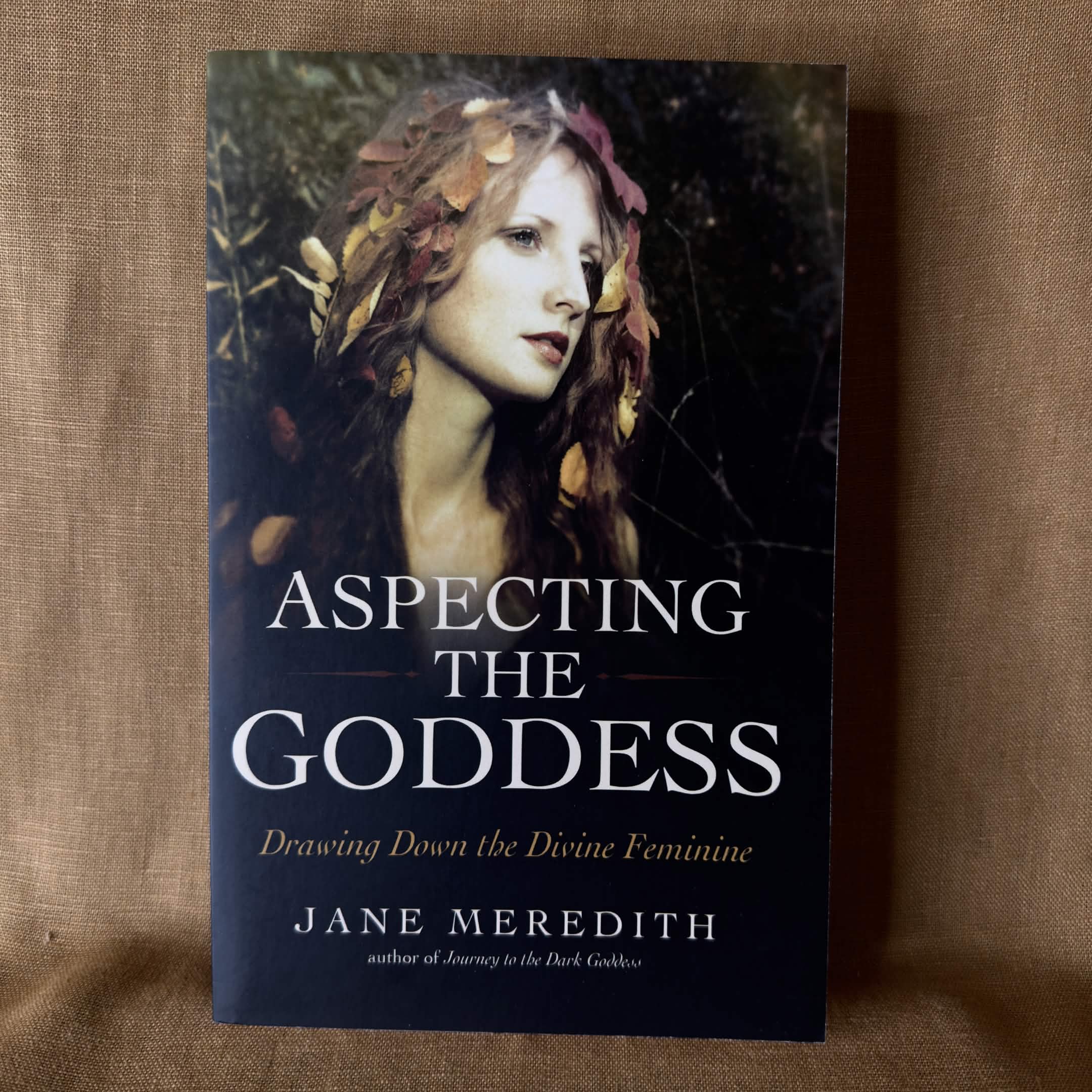 Aspecting the Goddess: Drawing Down the Divine Feminine — Jane Meredith
