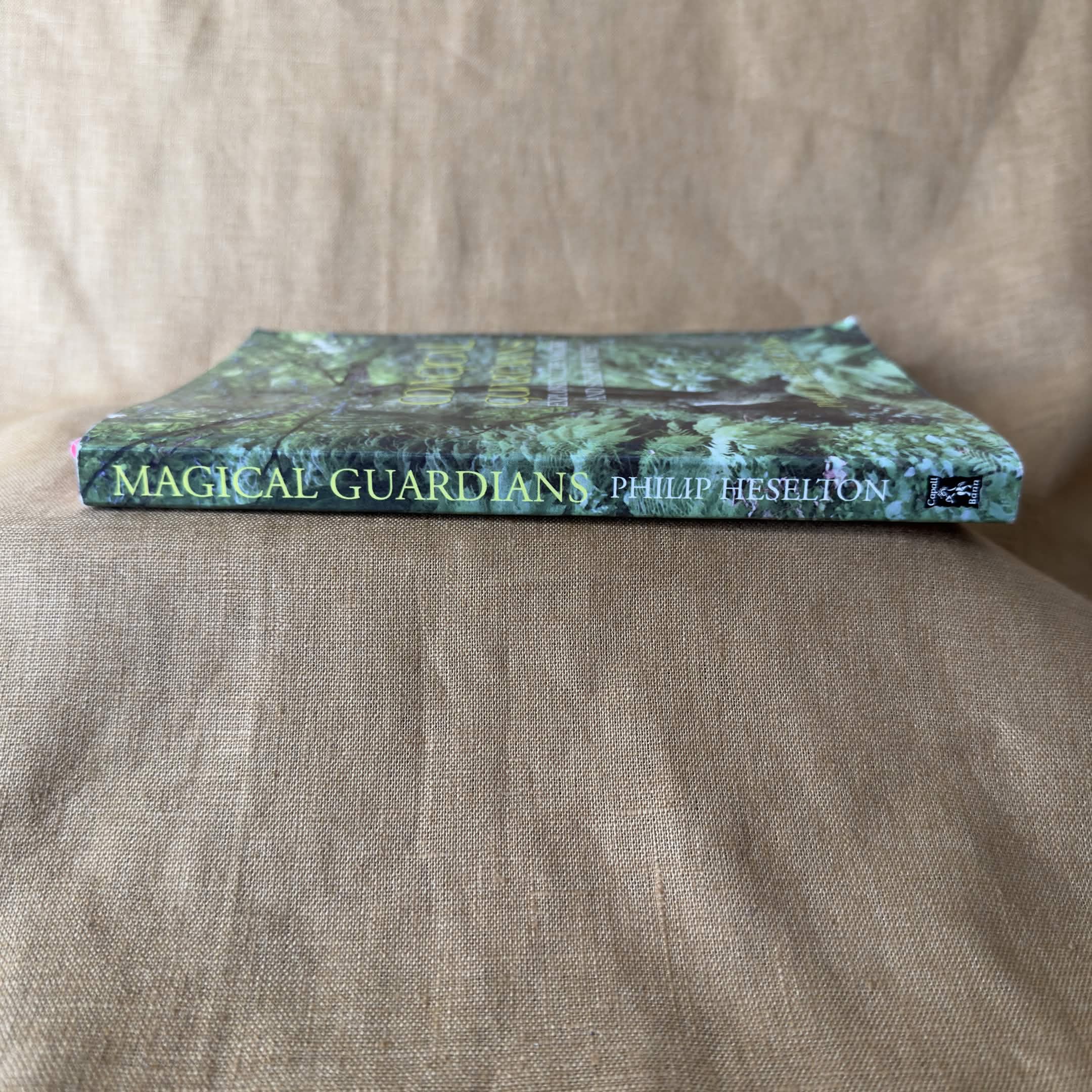 Magical Guardians: Exploring the Nature and Spirit of Trees — Philip Heselton