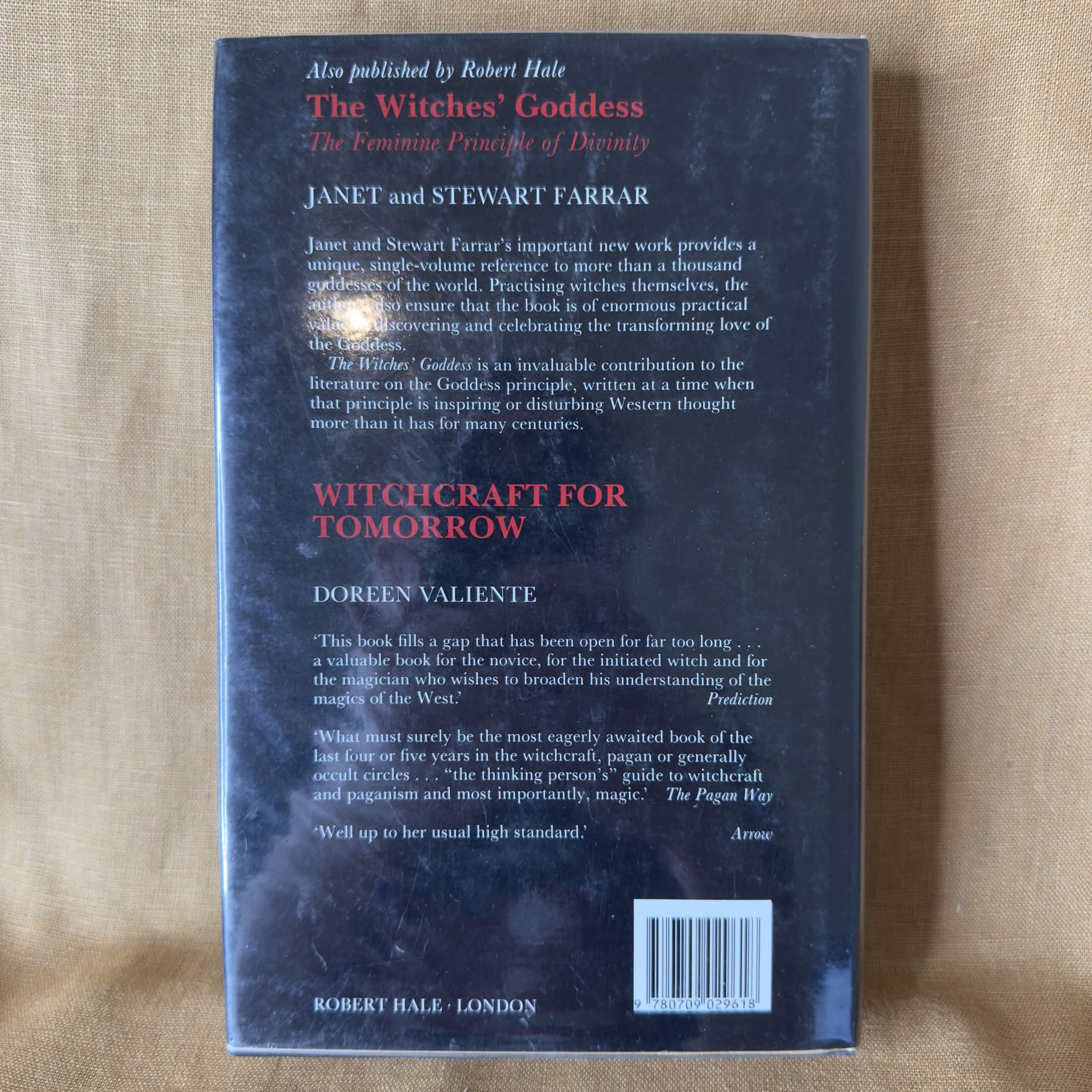 The Occult Experience - Nevill Drury
