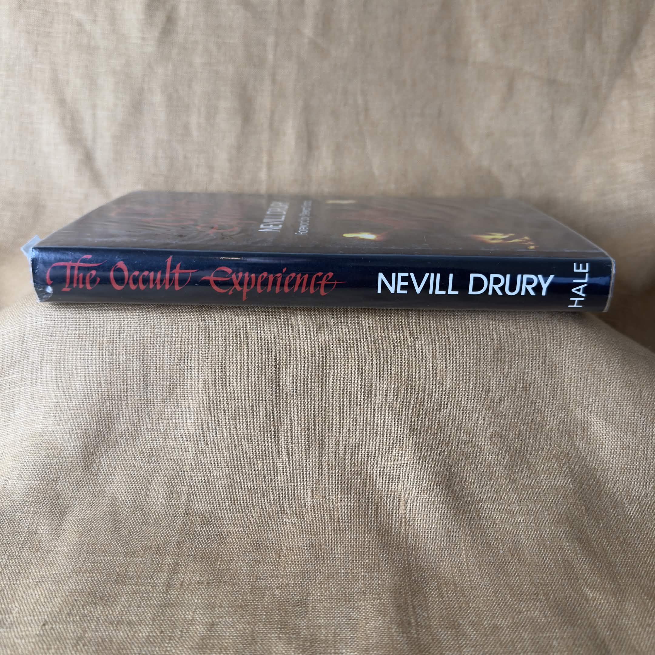 The Occult Experience - Nevill Drury