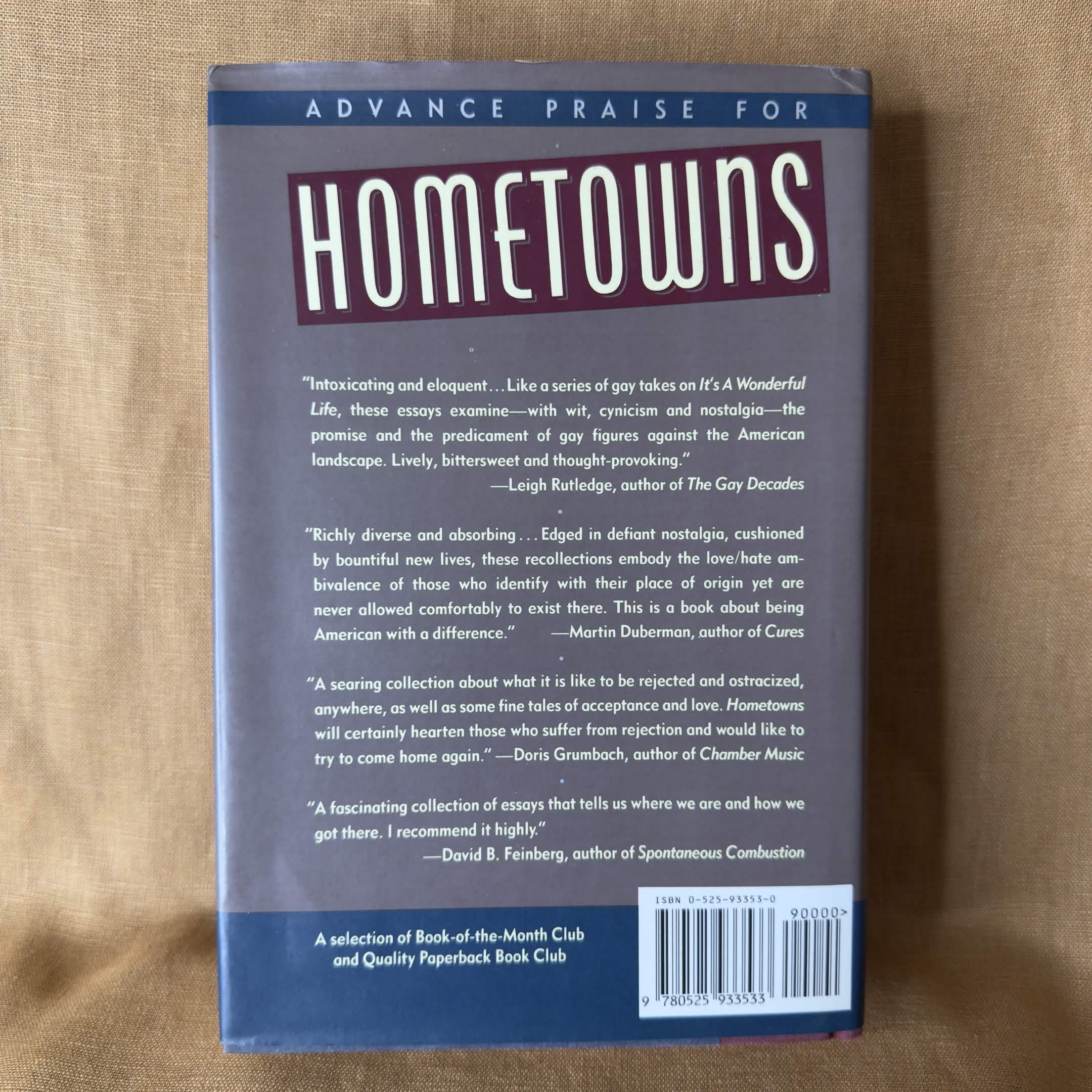 Hometowns: Gay Men Write About Where They Belong - John Preston