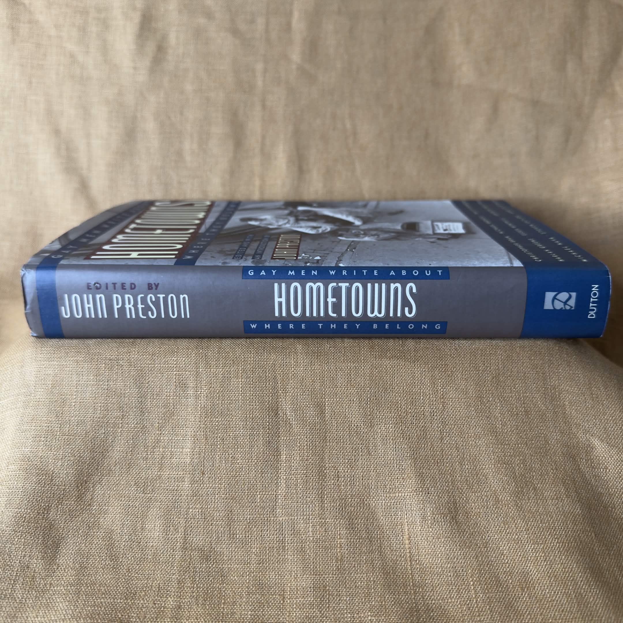 Hometowns: Gay Men Write About Where They Belong - John Preston
