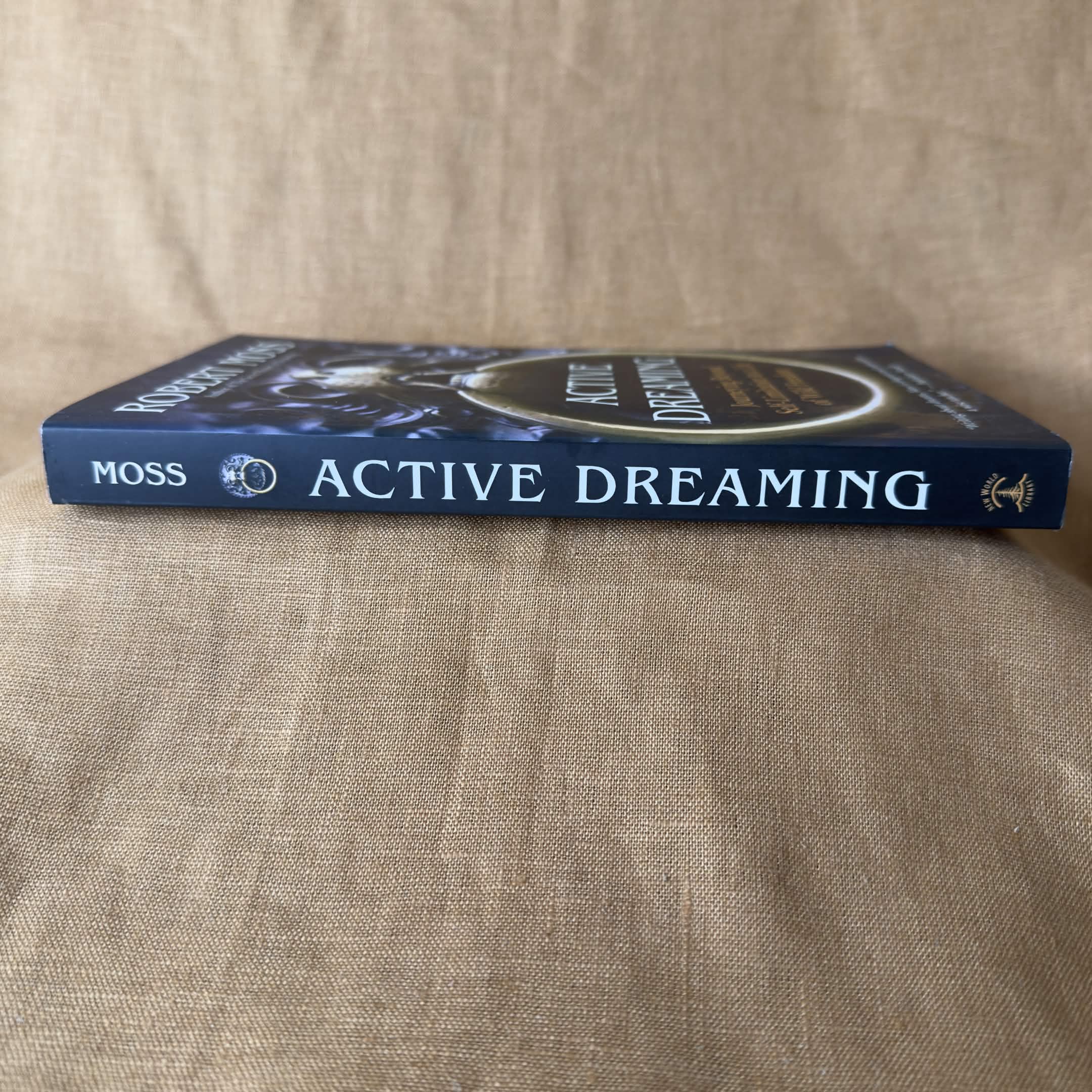 Active Dreaming: Journeying Beyond Self-Limitation to a Life of Wild Freedom - Robert Moss