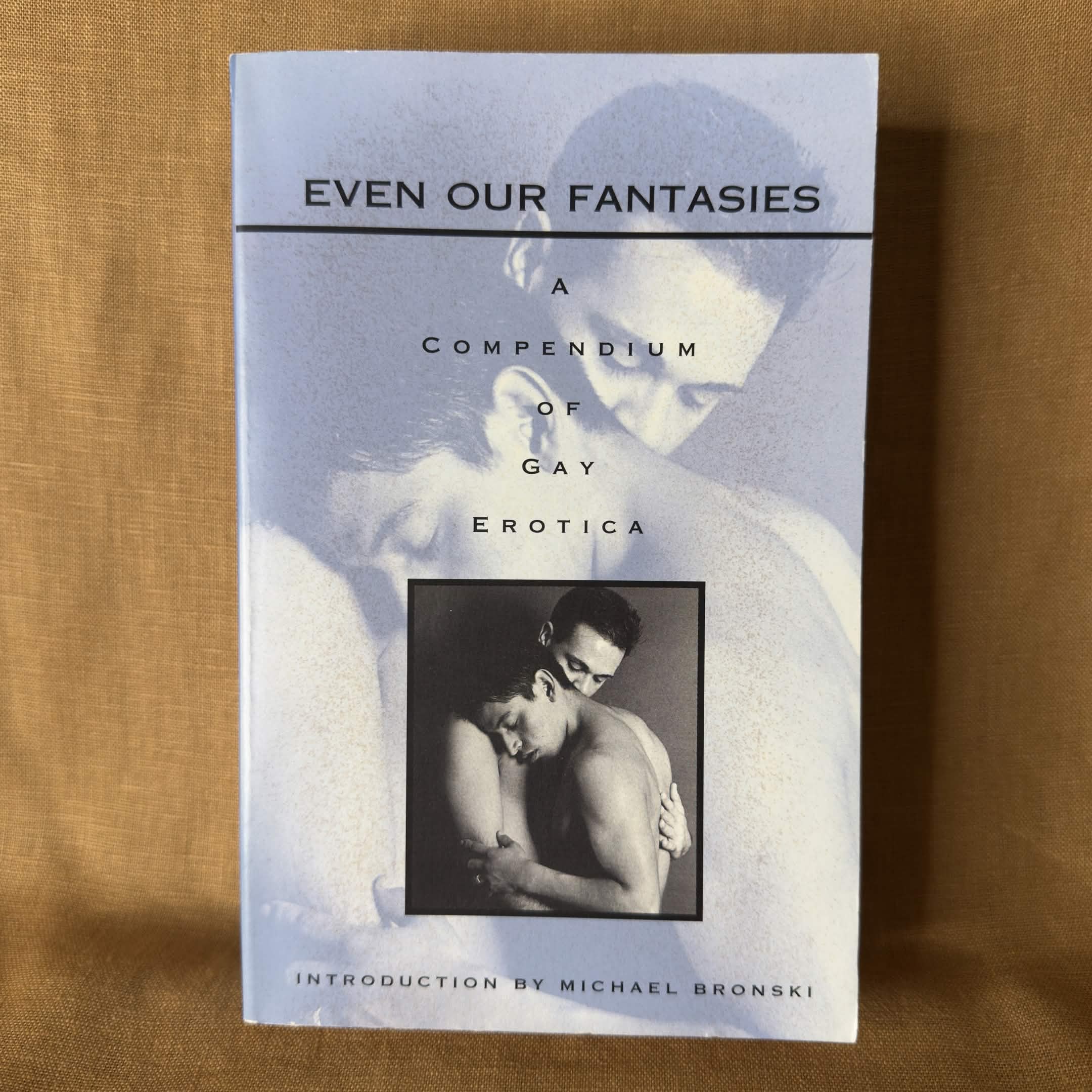 Even Our Fantasies: A Compendium of Gay Erotica - Various Authors