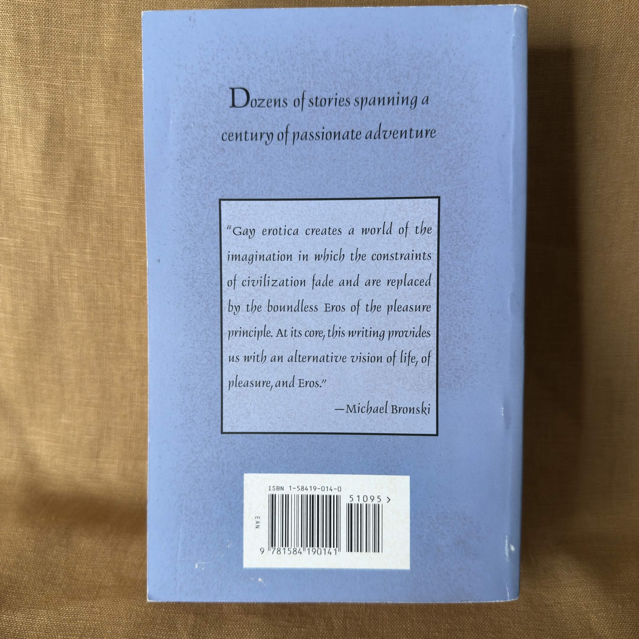 Even Our Fantasies: A Compendium of Gay Erotica - Various Authors