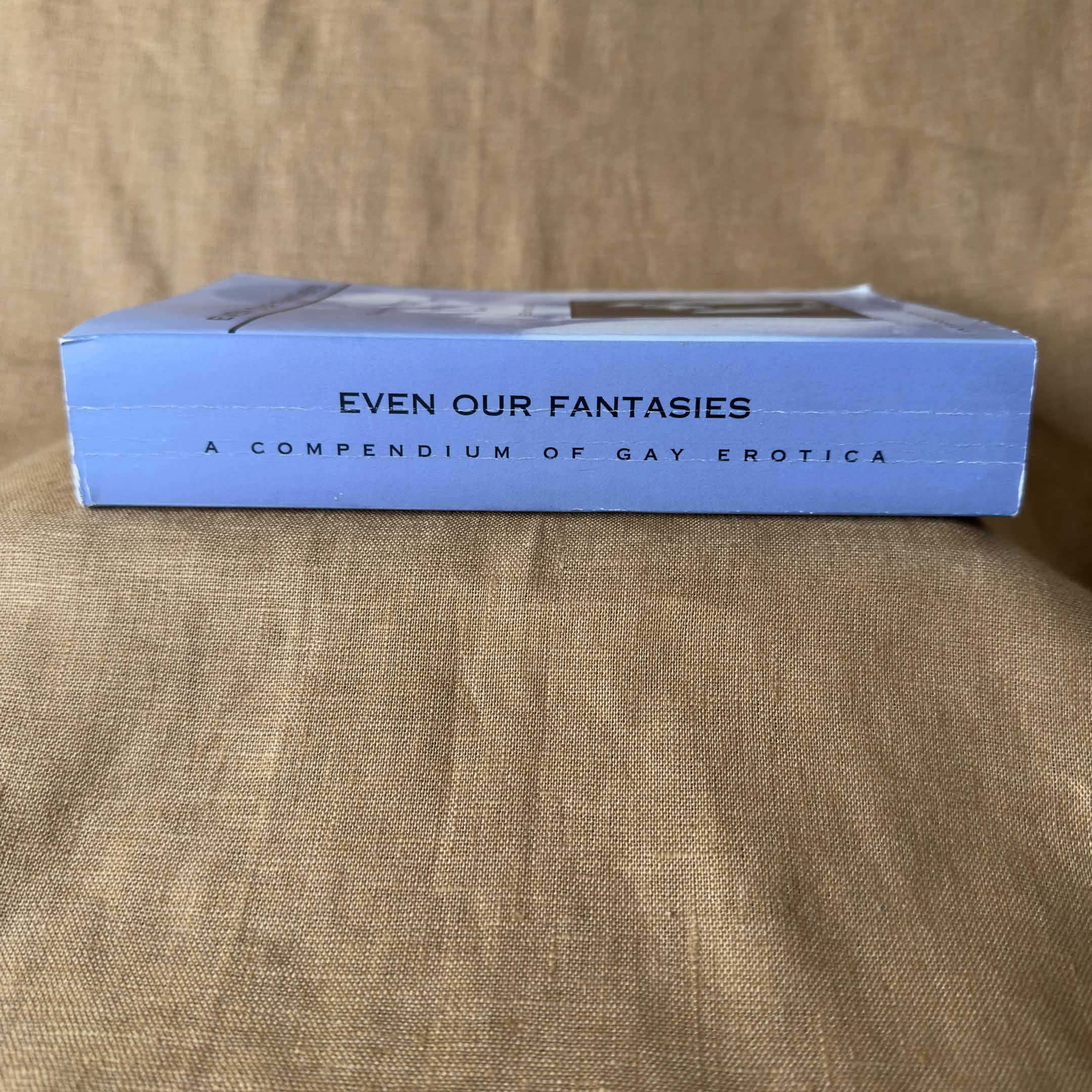Even Our Fantasies: A Compendium of Gay Erotica - Various Authors