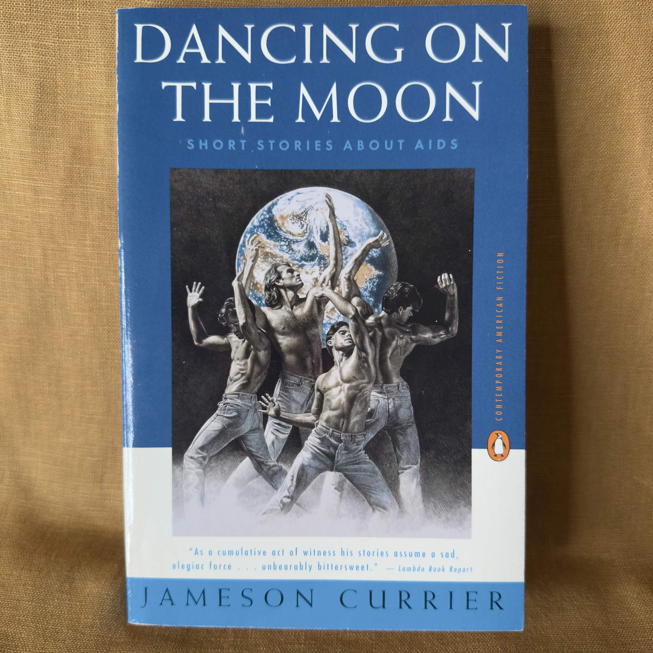 Dancing on the Moon: Short Stories About AIDS - Jameson Currier