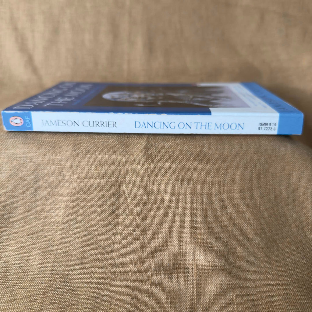 Dancing on the Moon: Short Stories About AIDS - Jameson Currier