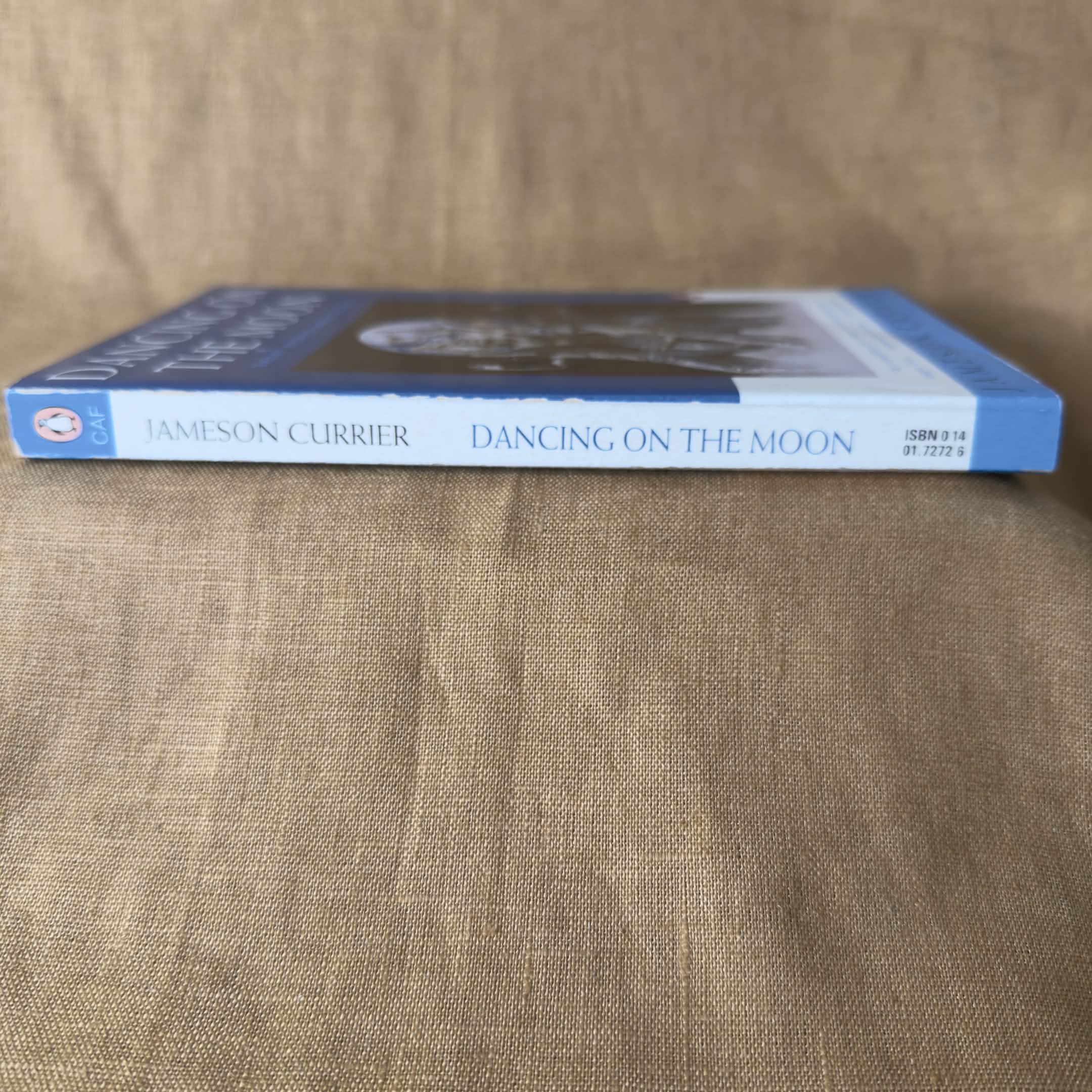 Dancing on the Moon: Short Stories About AIDS - Jameson Currier