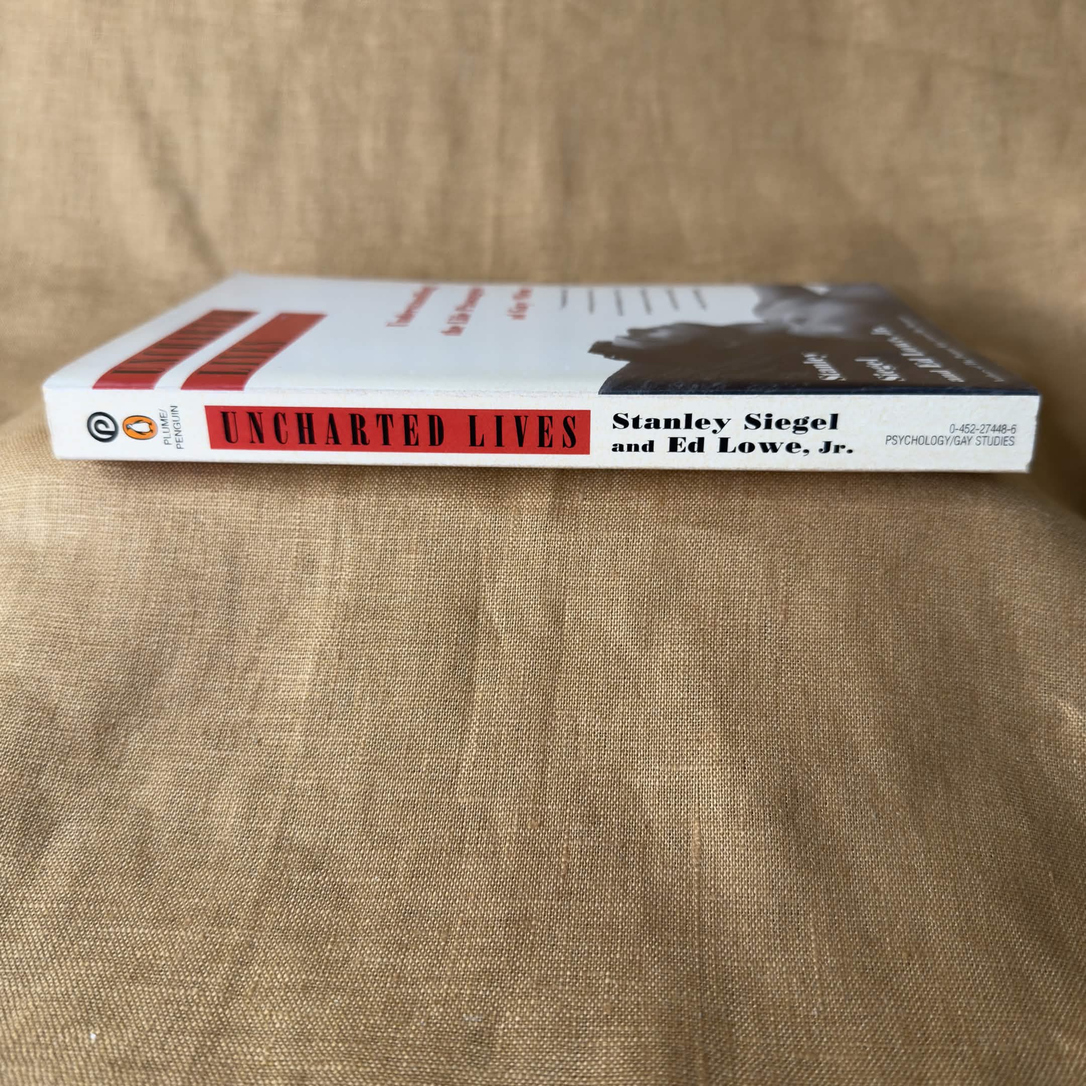 Uncharted Lives: Understanding the Life Passages of Gay Men - Stanley Siegel and Ed Lowe Jr.