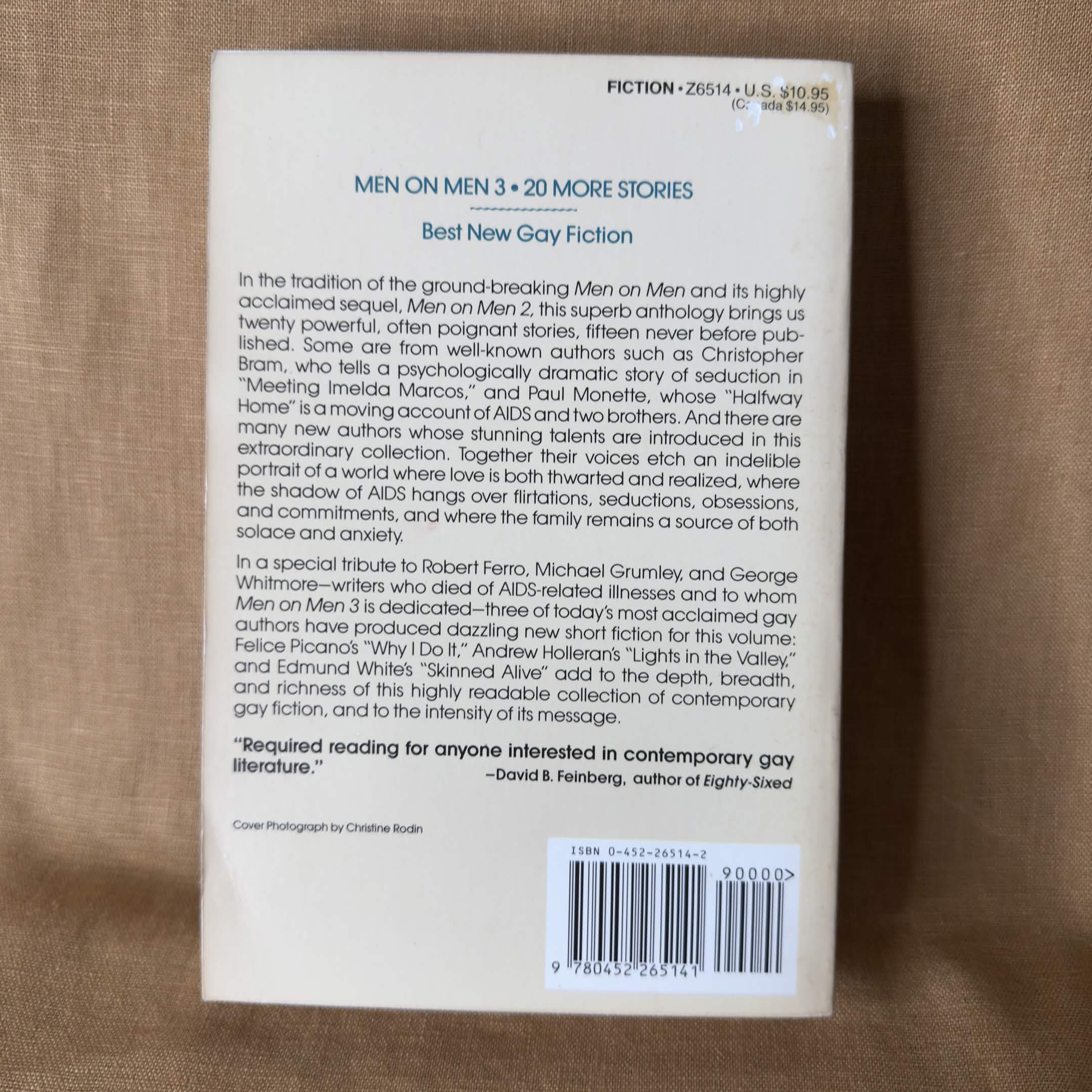 Men on Men 3: Best New Gay Fiction - George Stambolian