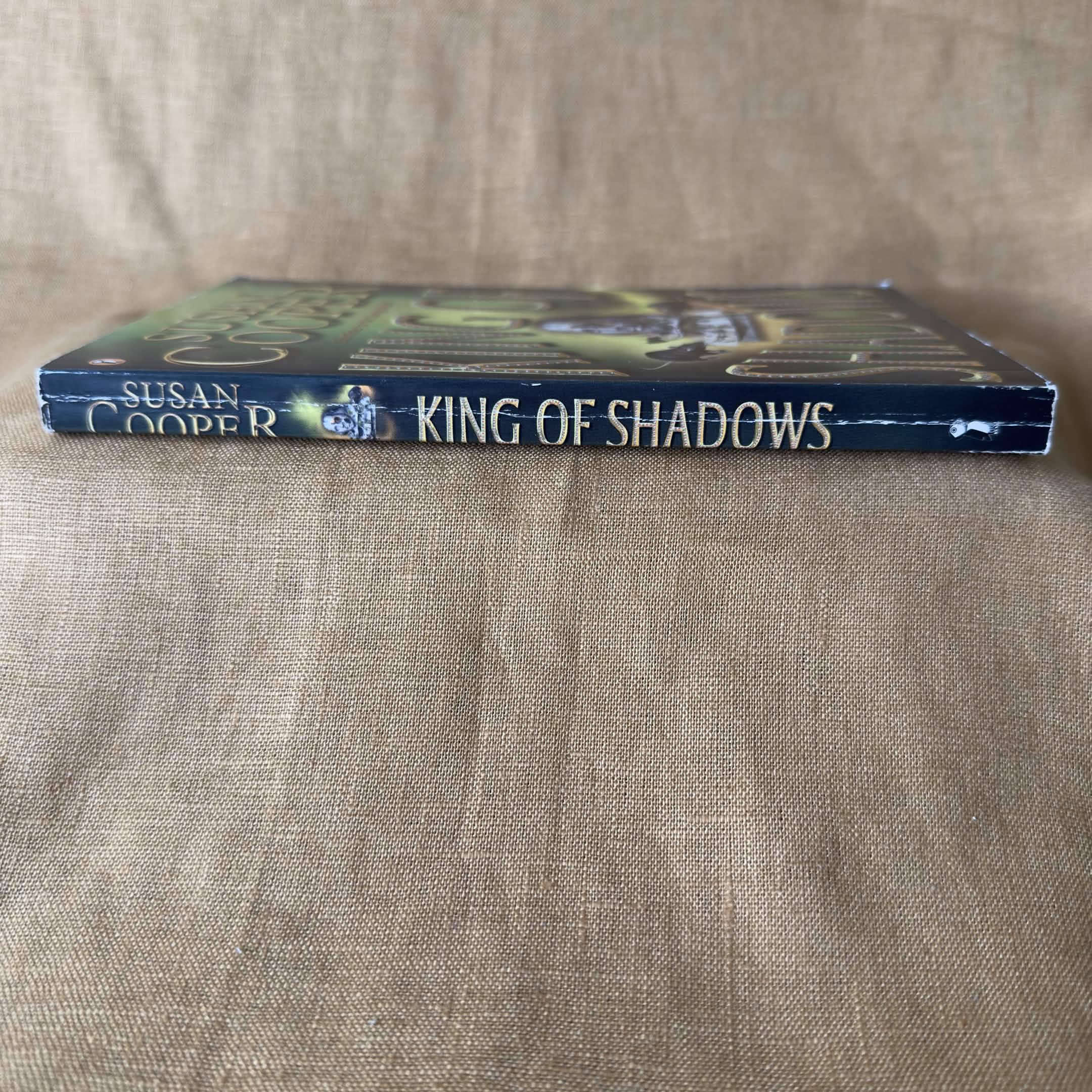 King of Shadows - Susan Cooper