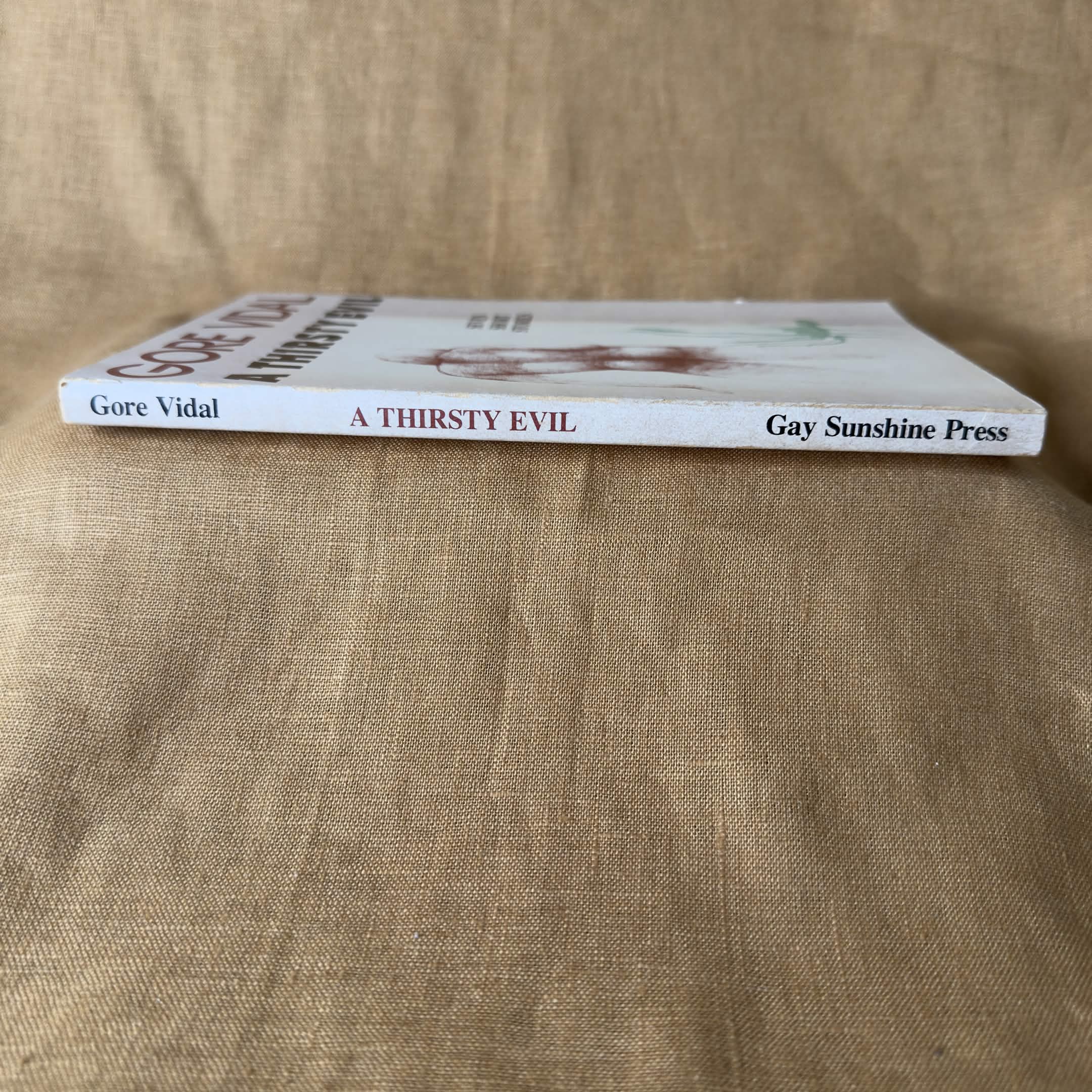 A Thirsty Evil: Seven Short Stories - Gore Vidal