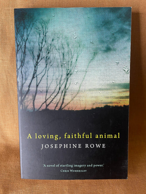A Loving, Faithful Animal by Josephine Rowe - front cover