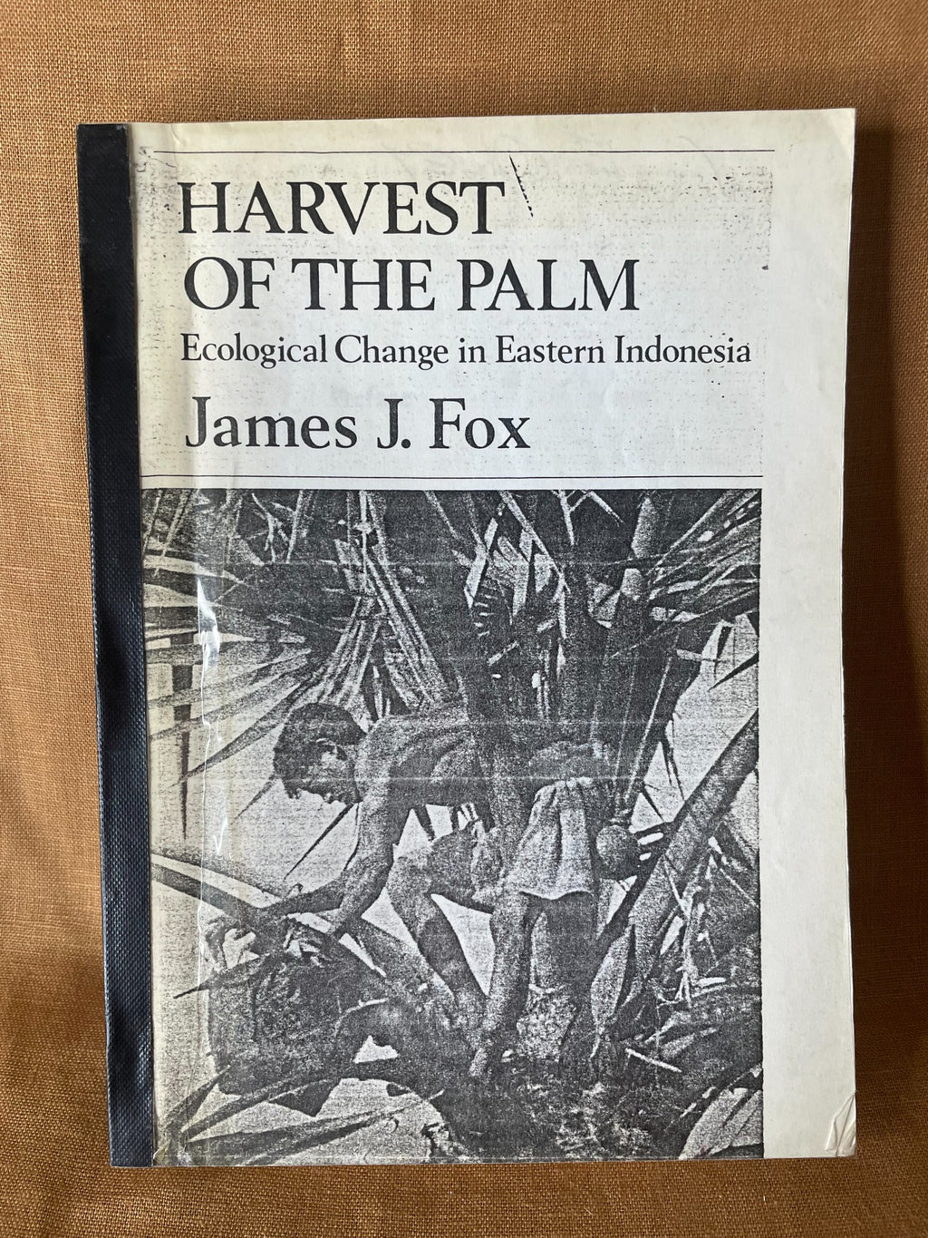 Harvest of the Palm by James J. Fox front cover