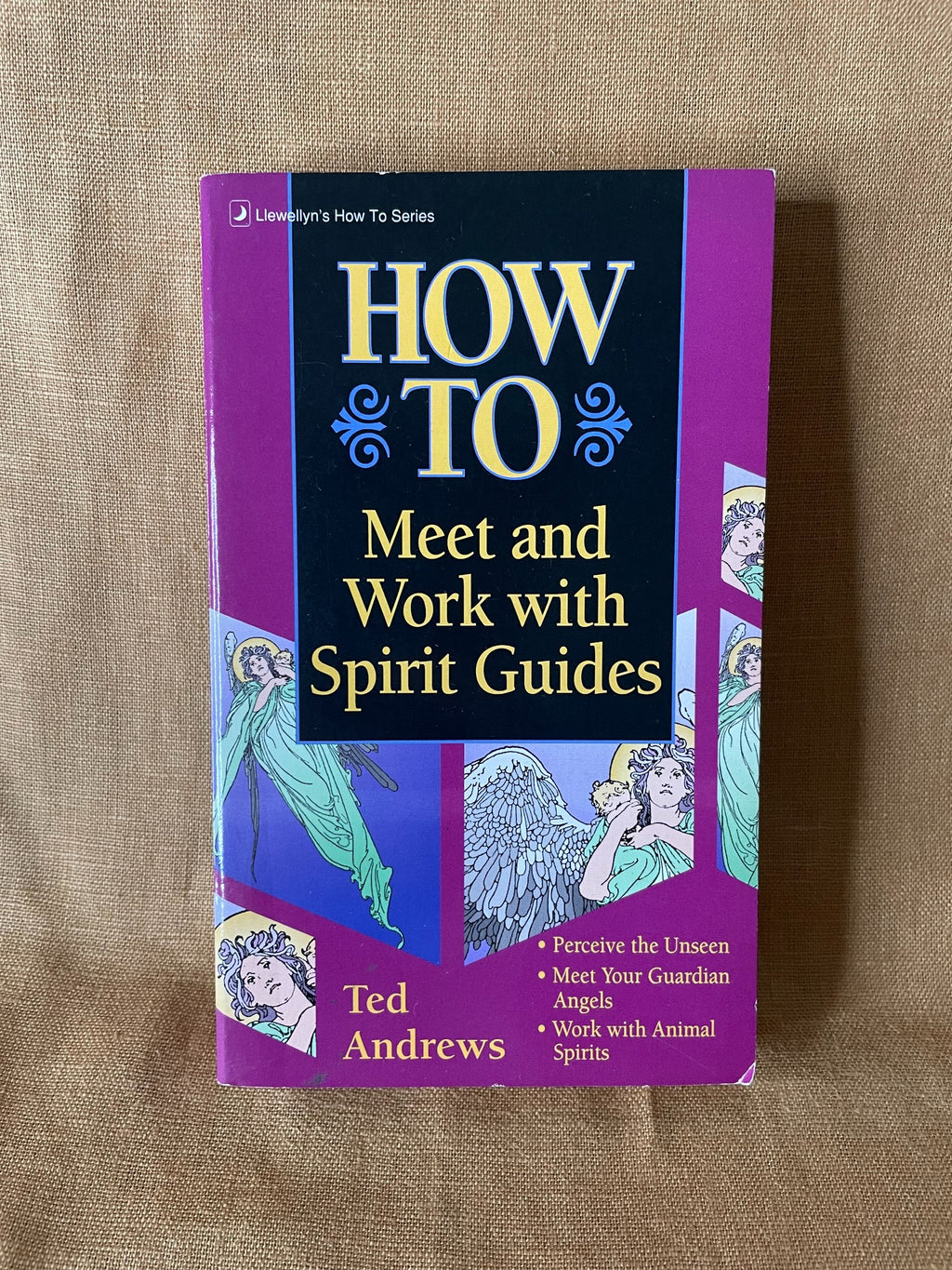 How to Meet and Work with Spirit Guides by Ted Andrews front cover