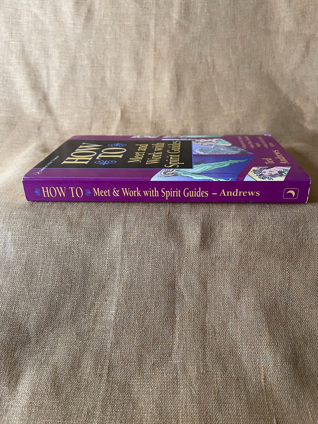 How to Meet and Work with Spirit Guides by Ted Andrews spine