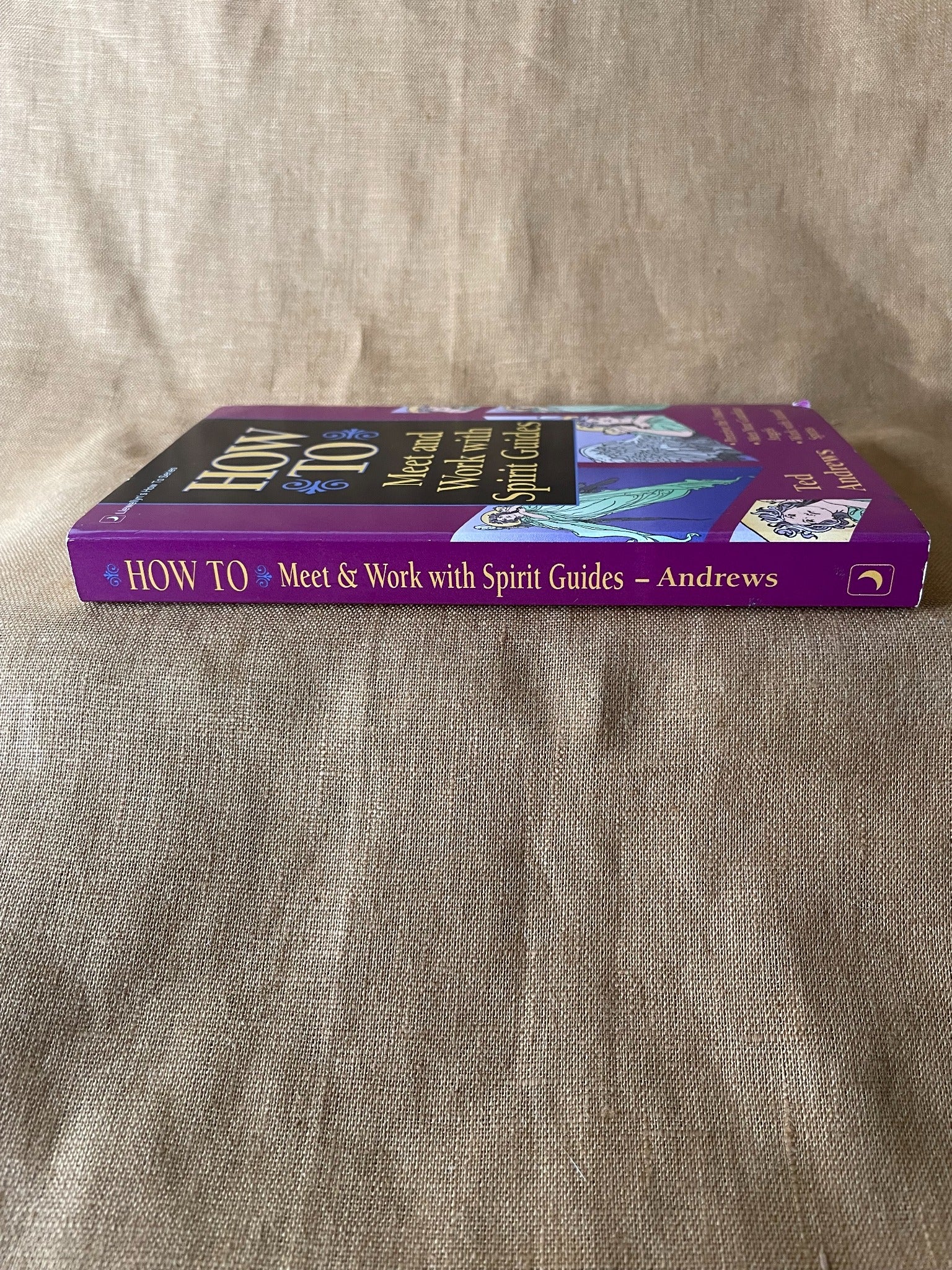 How to Meet and Work with Spirit Guides by Ted Andrews spine