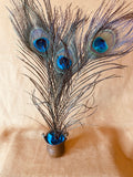 Natural peacock feathers set of three for witchcraft ritual and spellcraft