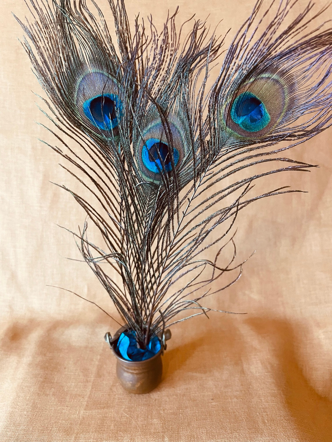 Natural peacock feathers set of three for witchcraft ritual and spellcraft