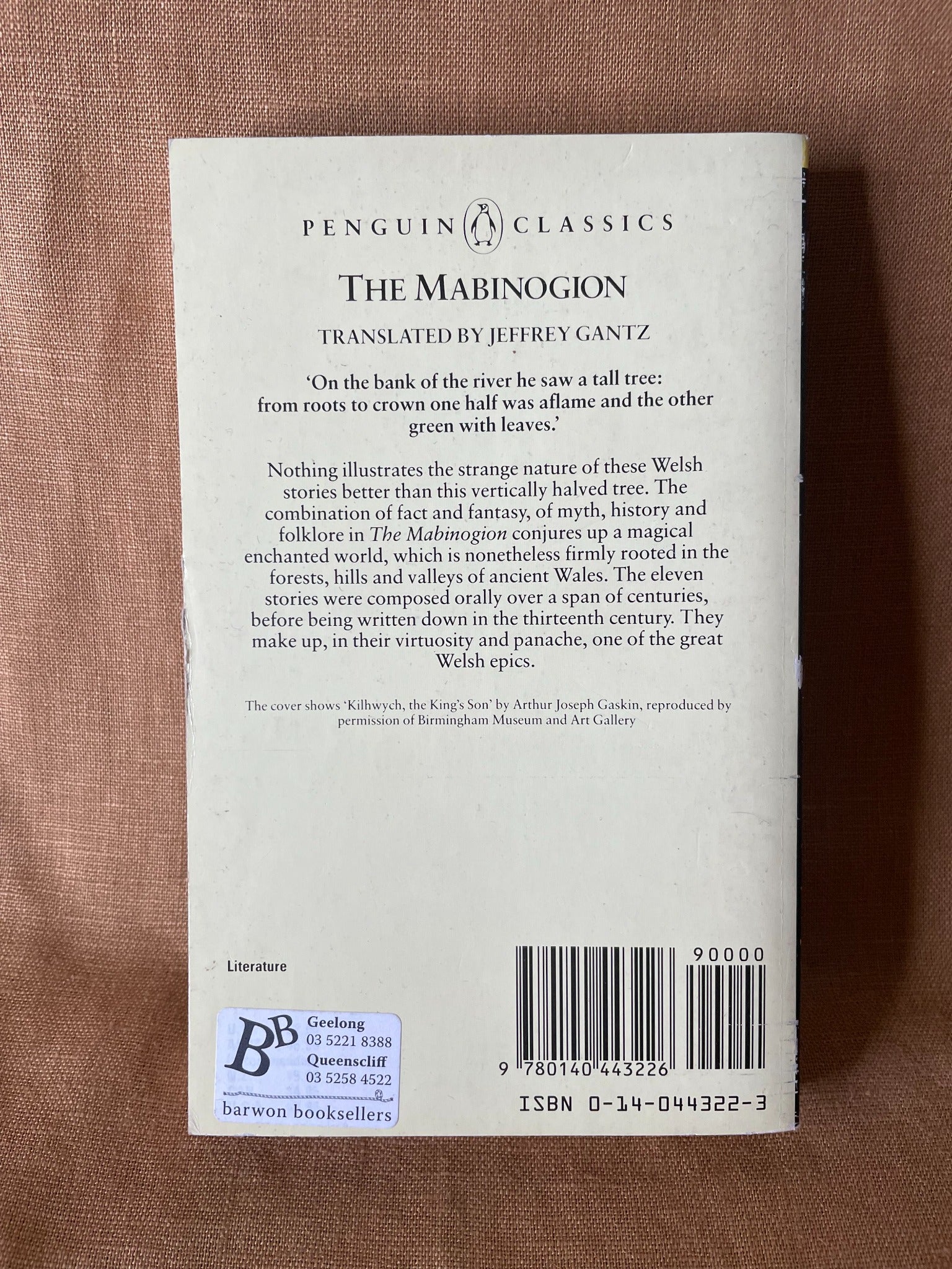 The Mabinogion translated by Jeffrey Gantz back cover