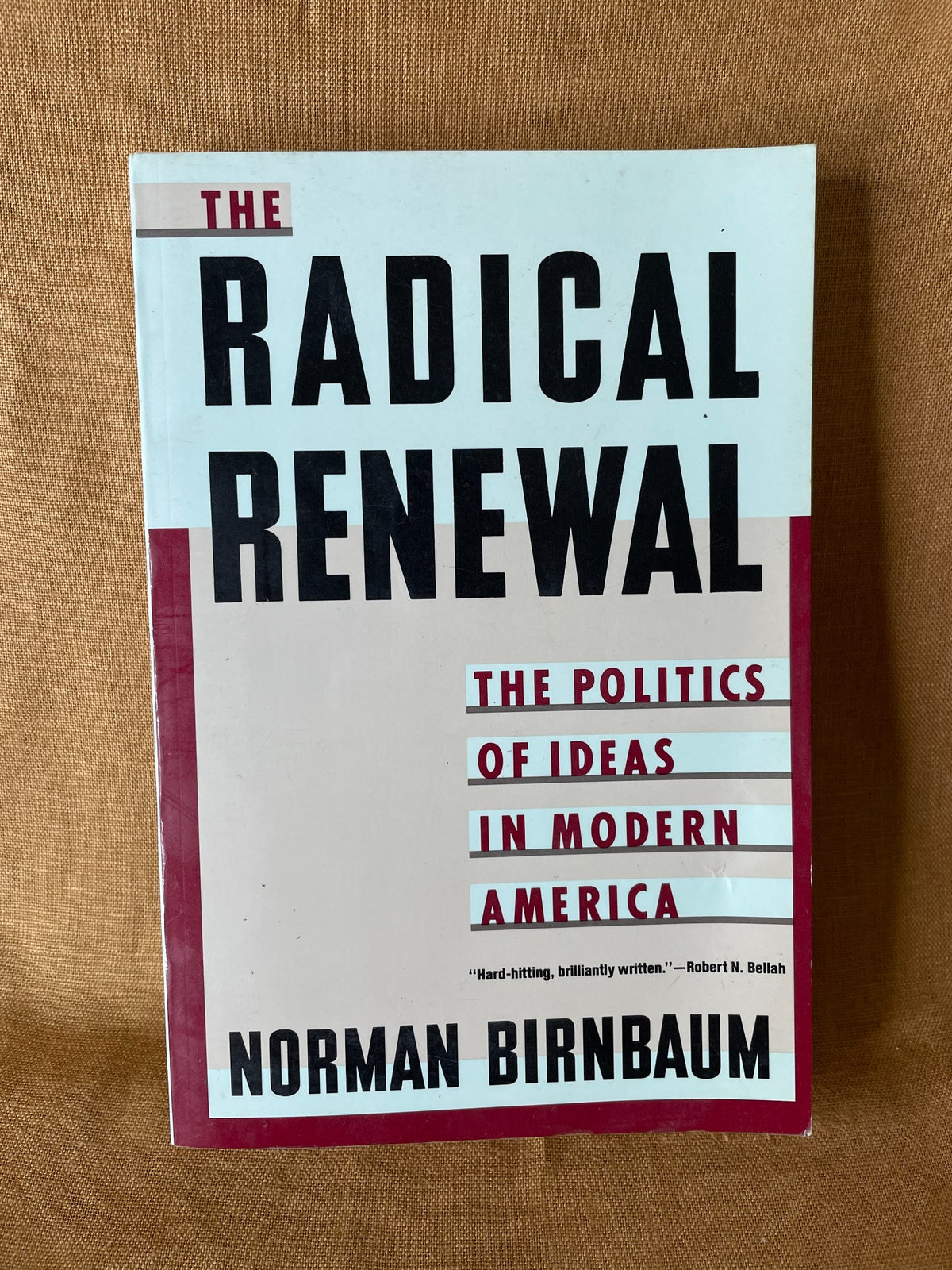The Radical Renewal by Norman Birnbaum front cover