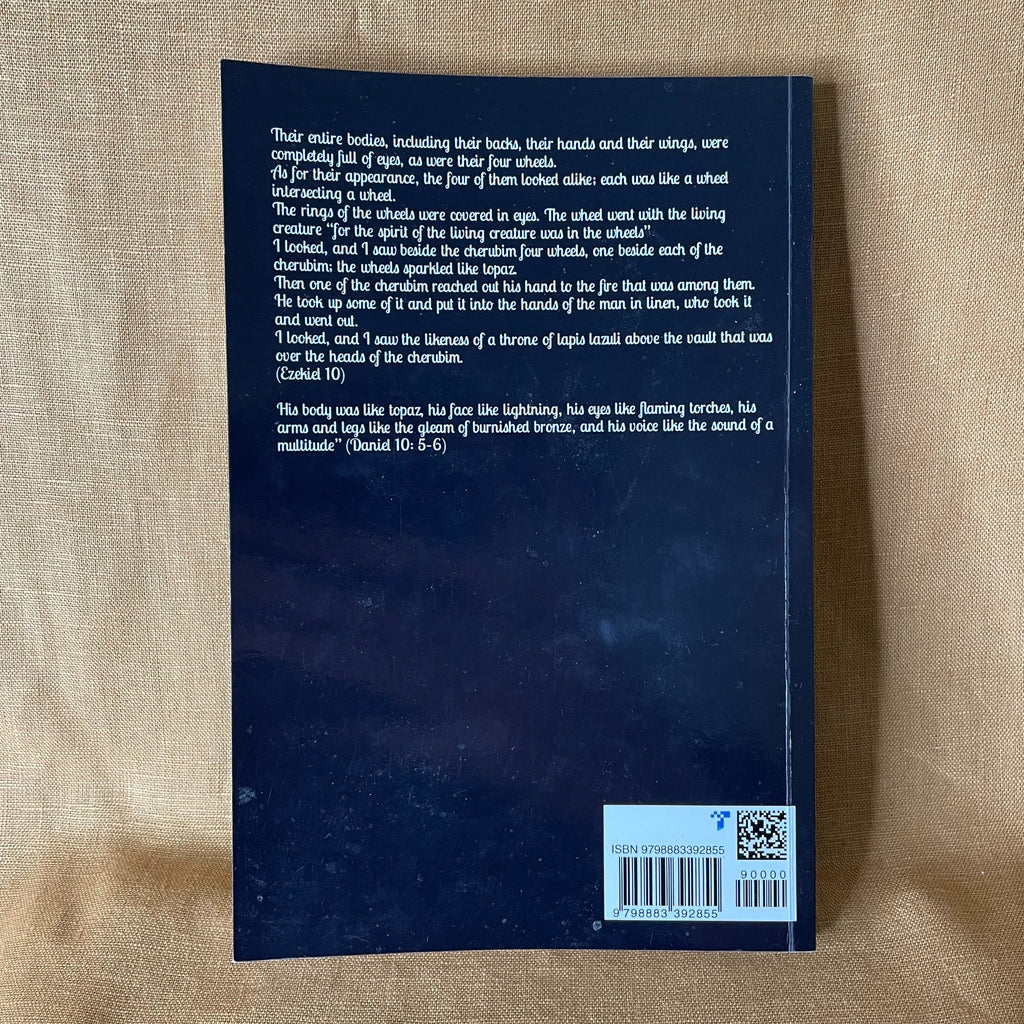 Back cover of The Rogue Magus by Frater M.C.