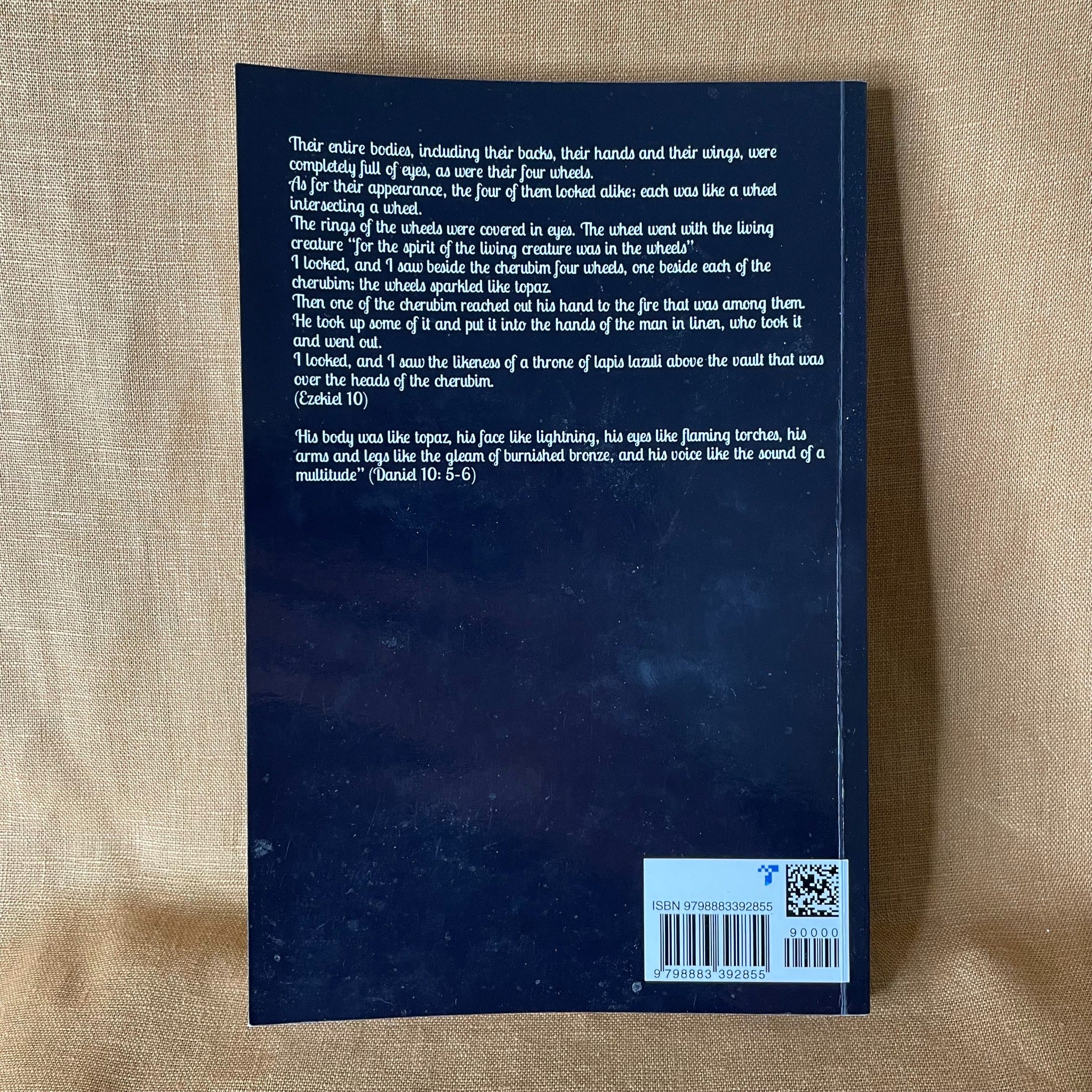 Back cover of The Rogue Magus by Frater M.C.