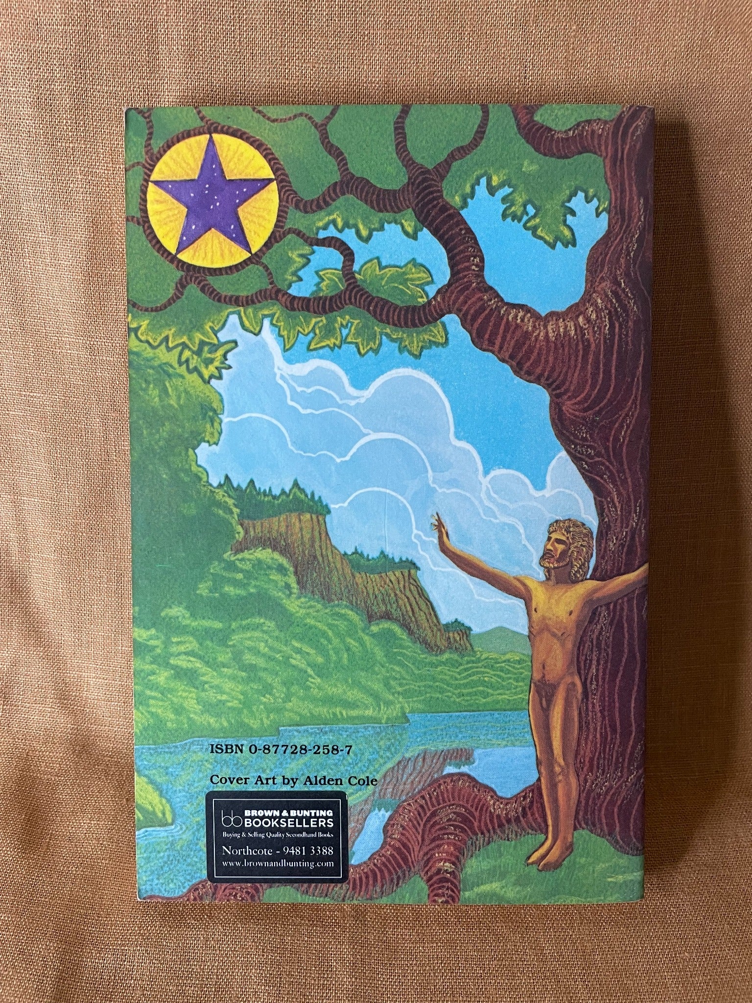 The Tree: The Complete Book of Saxon Witchcraft by Raymond Buckland - back cover